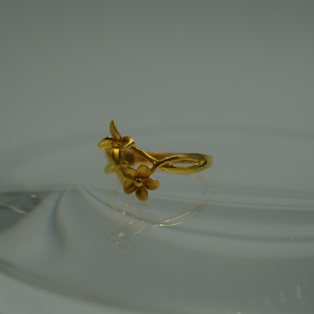 Gold Fancy Ring