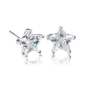 Silver Star Earrings