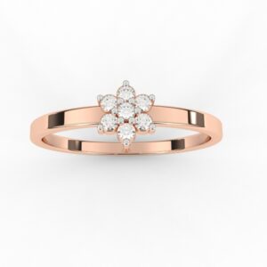 L-LR-0496 | LR-J-519
