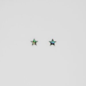 Rositaa Abalone Art Star Earring