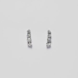 Silver elegant neckline & earrings