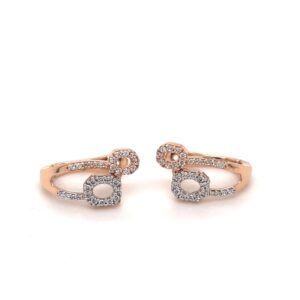 Pretty stud earrings