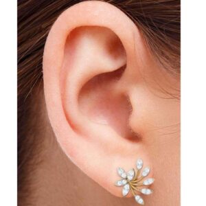 Diamond Earrings Stud 18kt