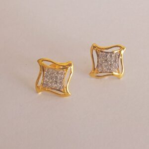 Fancy Earrings