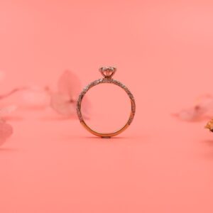 Exquisite Diamond Ring