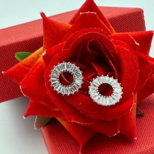 Exclusive pure silver Earrings