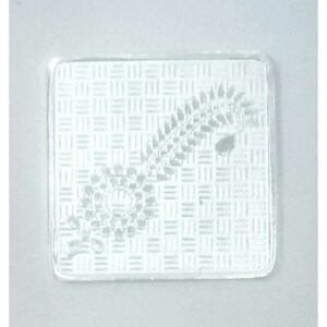 Square Silver Coin