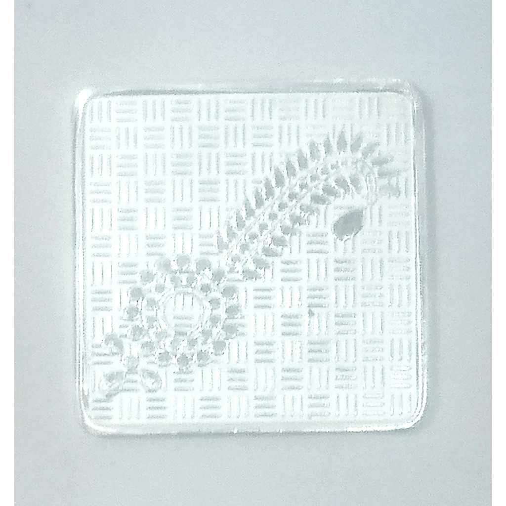 Square Silver Coin