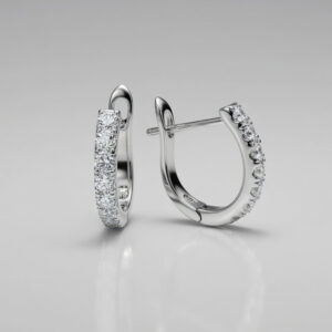 The Leverback Hoops