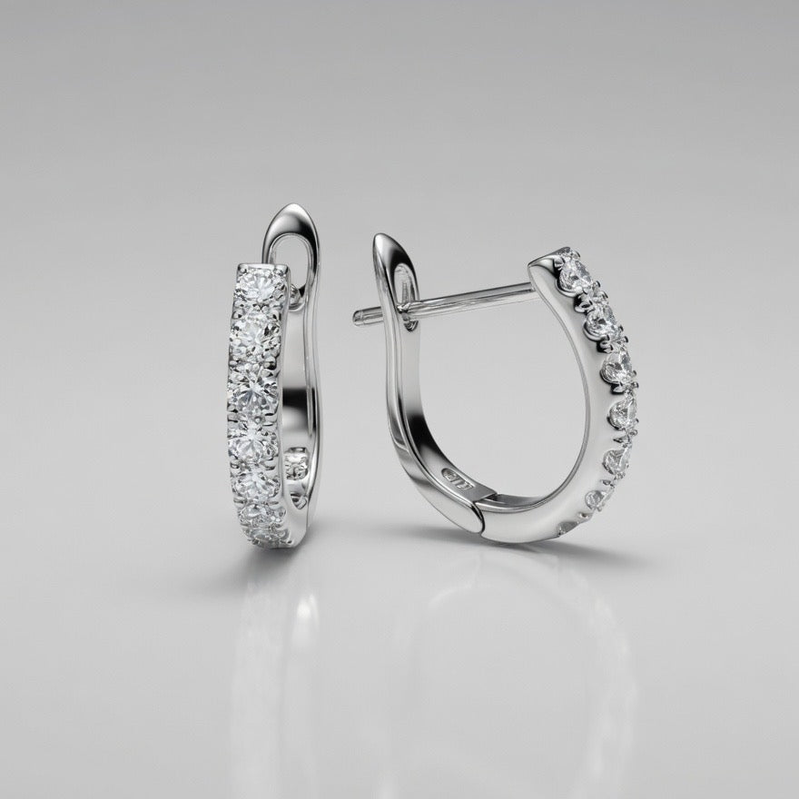 The Leverback Hoops