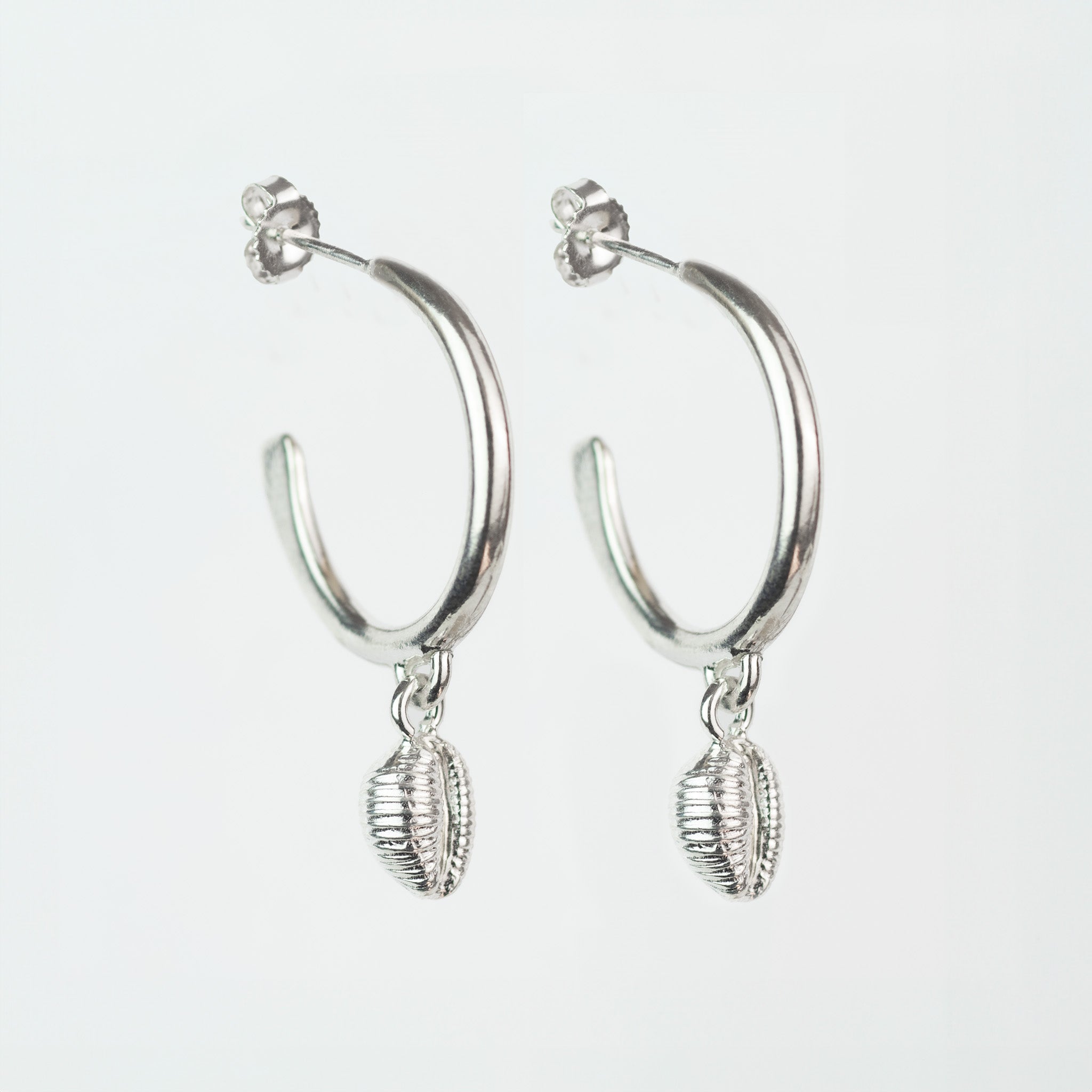 Silver Groatie Buckie Shell Hoop Earrings