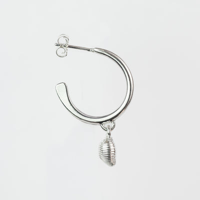 Silver Groatie Buckie Shell Hoop Earrings - Image 2