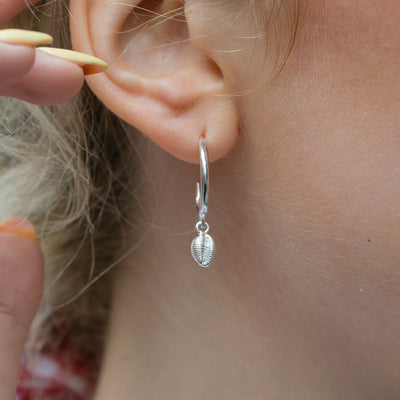 Silver Groatie Buckie Shell Hoop Earrings - Image 3